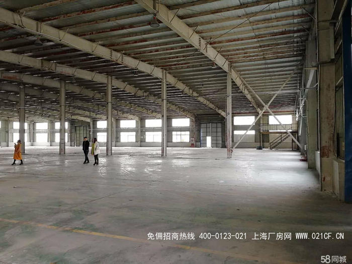 G2029 闵行莘庄工业园区元江路单层独栋厂房出租  104地块 可环评 2000平方米