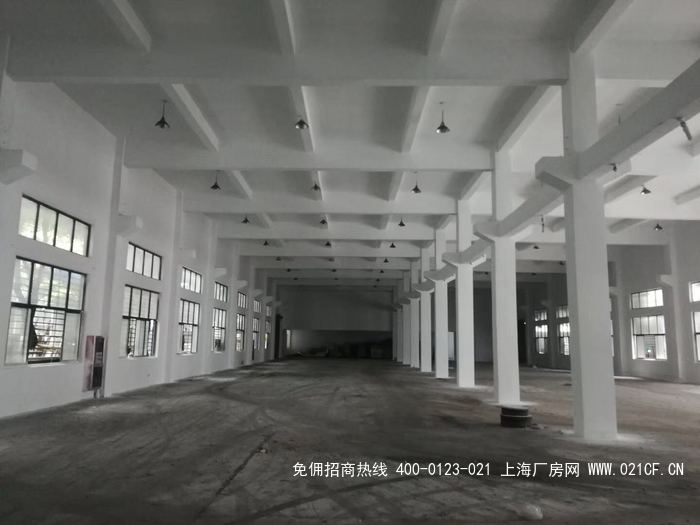 G2043 奉贤区西渡镇工业园单层厂房仓库出租 800平起租   共2700平