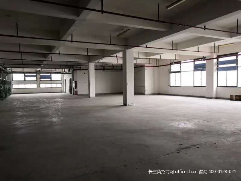 G2741松江新桥书林路多层厂房办公楼研发楼仓库出租 可分割出租