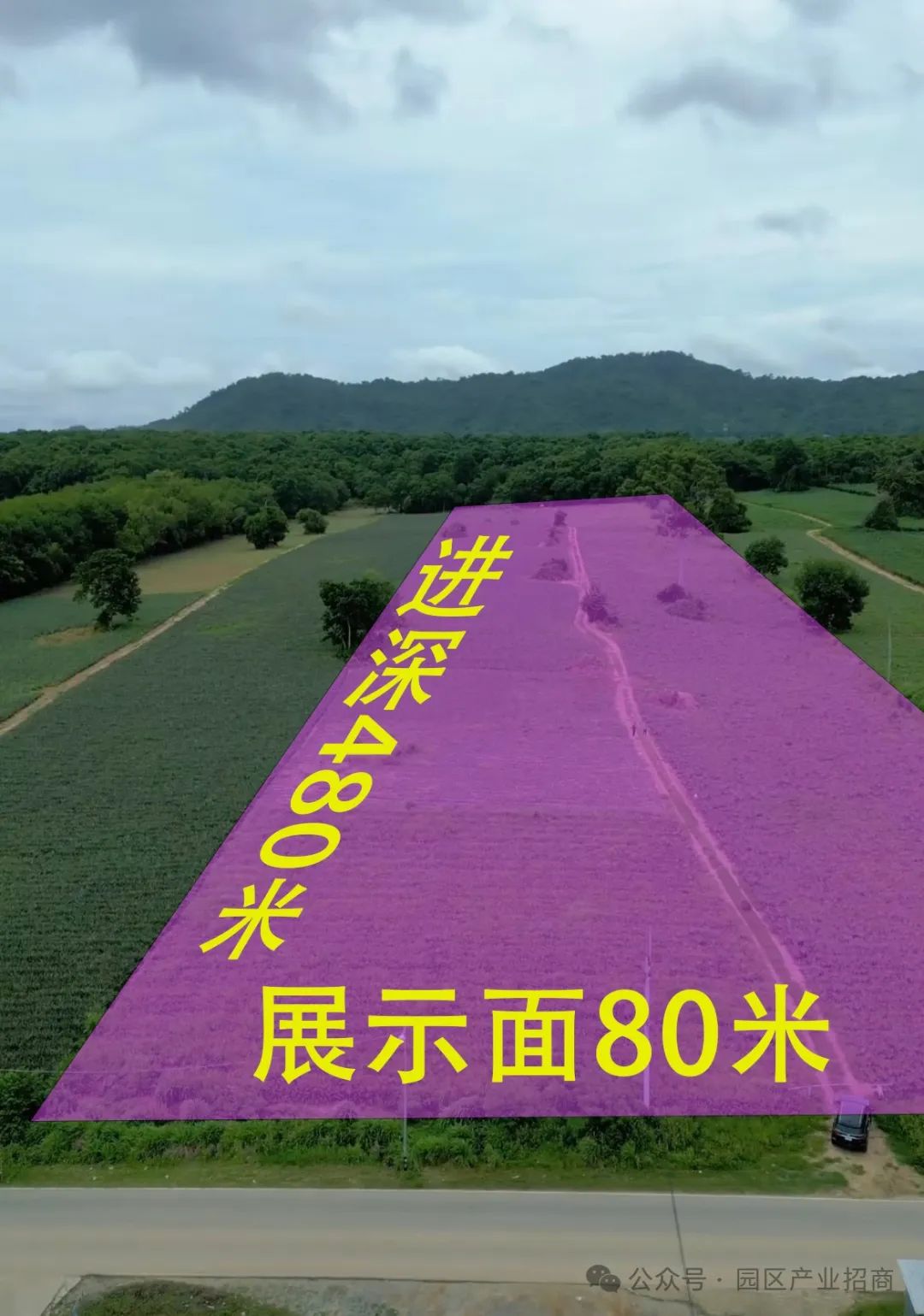 泰国罗勇府比亚迪工厂旁 24莱紫色工业土地出售