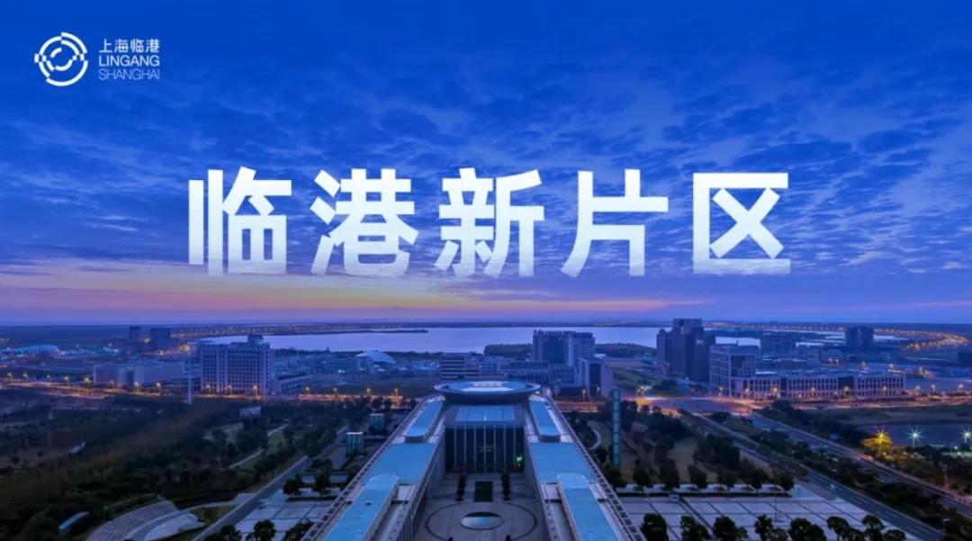 上海临港新片区（重装备区）高标准单层厂房出租，21米层高配置六台16吨行车；重装备产业适配的单层大柱跨厂房车间 现房