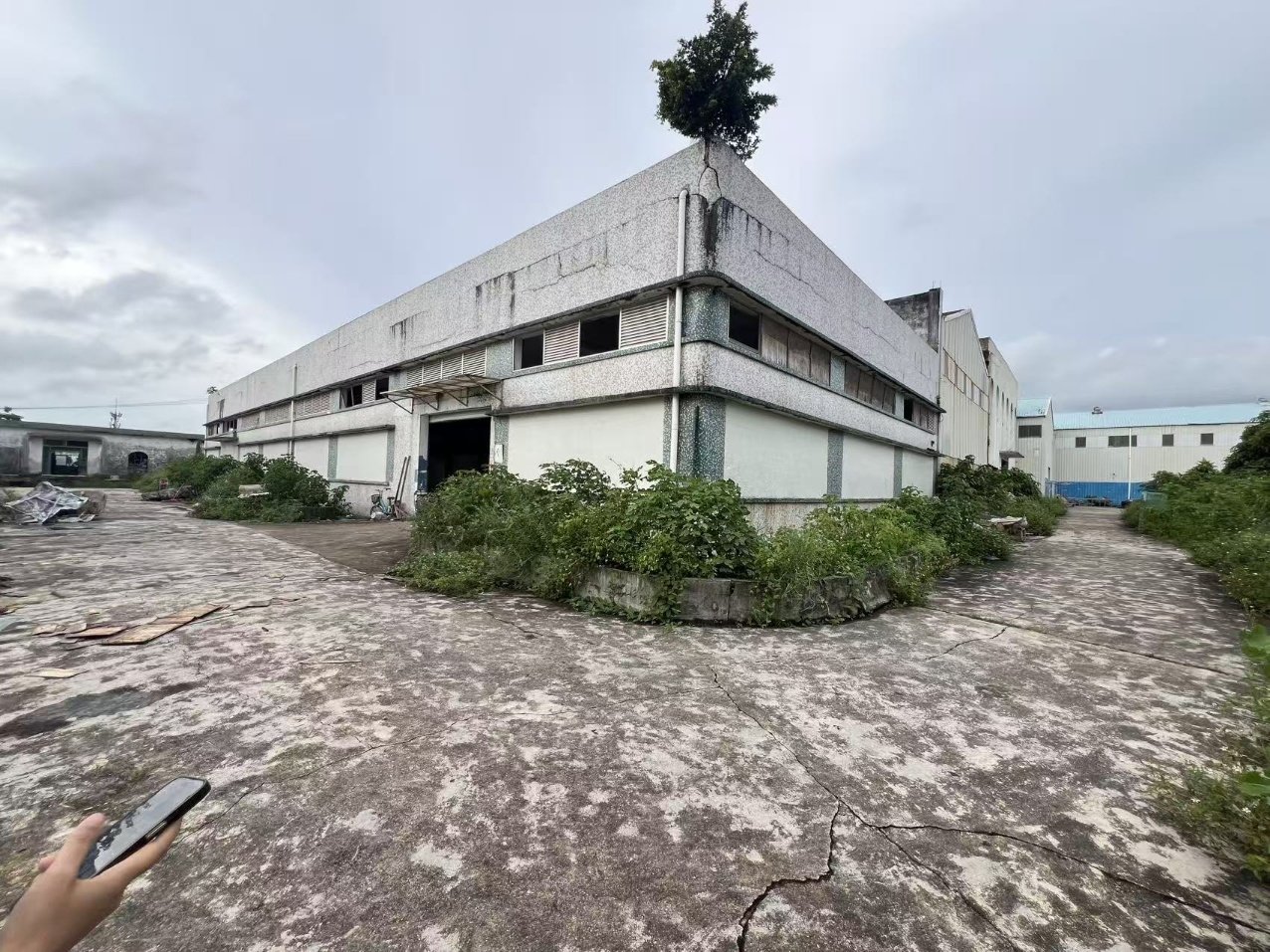 珠海斗门独院厂房实景1