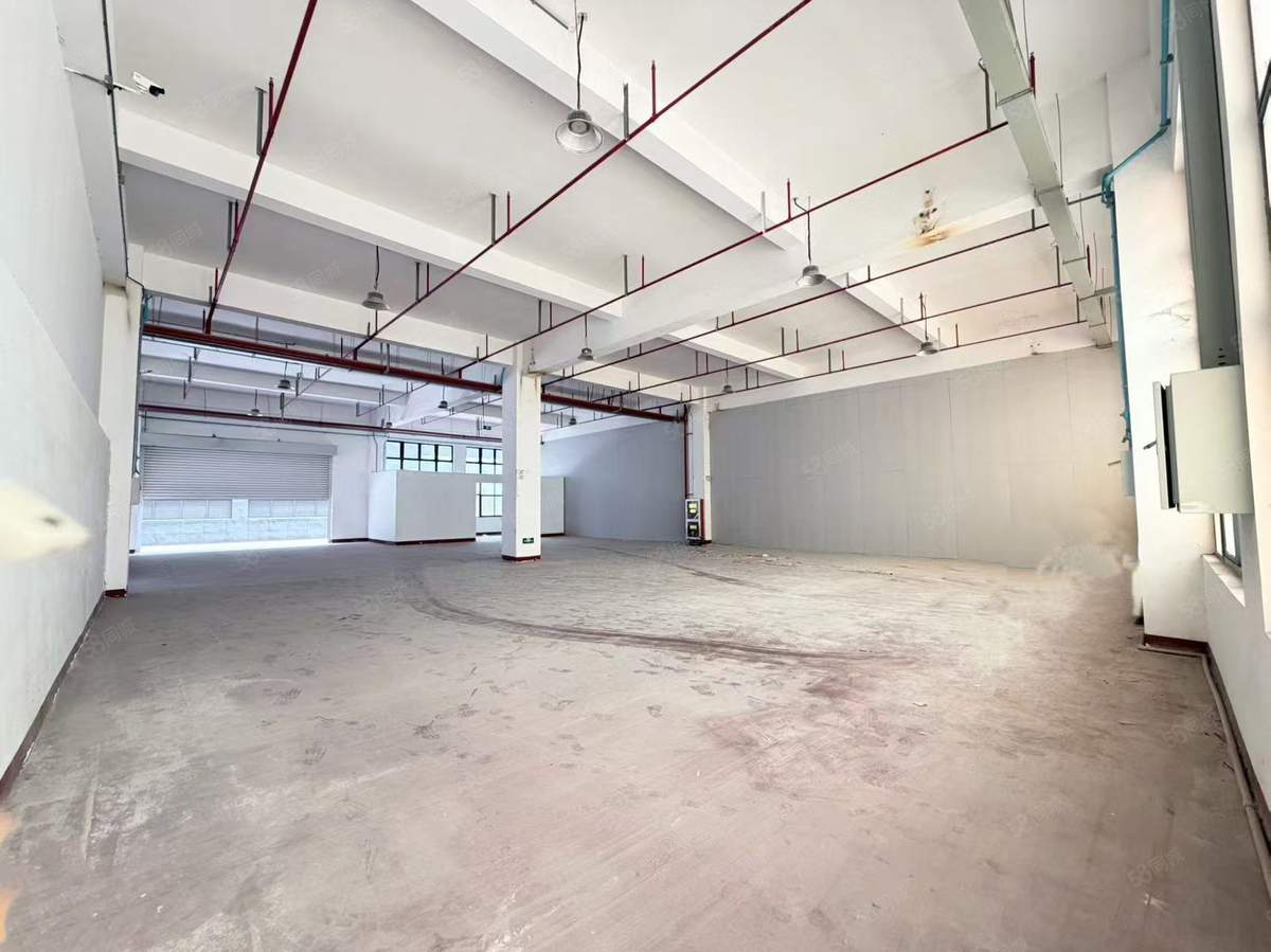 仓库出让，七莘路嘉闵高架优质标准产业园540平可分租