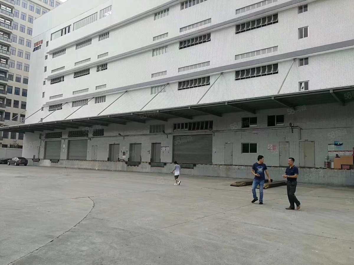 深圳龙岗标准物流园仓 2800平 1楼 高台 双面台 通勤便厂房出租单层交通便利配套