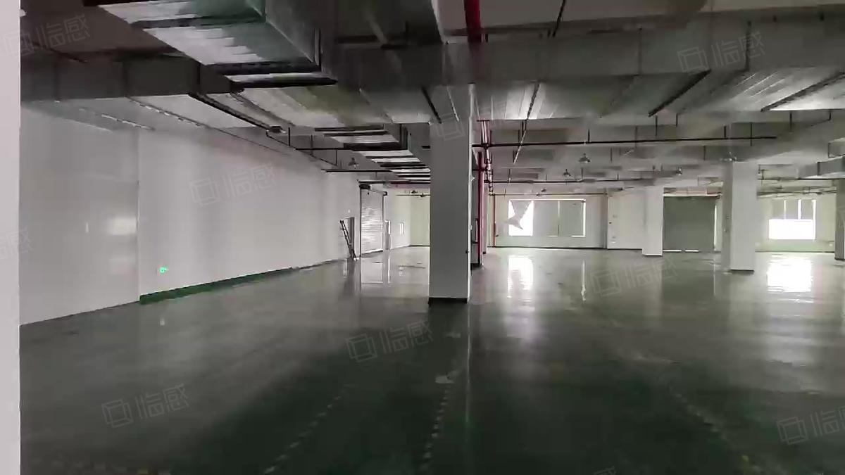 常平原房东标准独门独院厂房4800平厂房出租可分租东多层轨交口