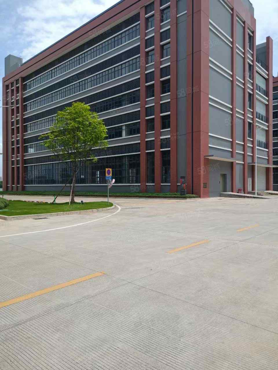 道滘独栋共五层总面积6500形象好空地大有喷淋易招工厂房出租多层通勤便利