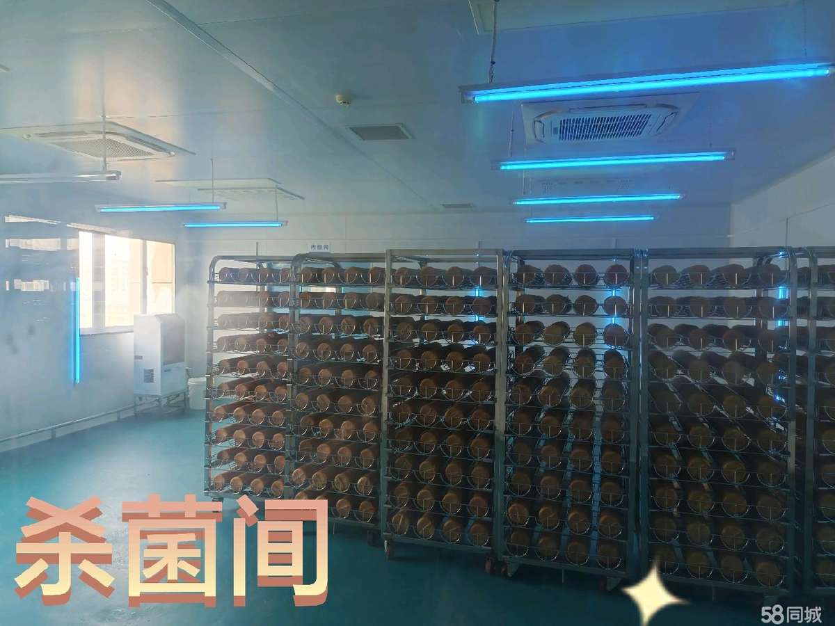 厂房实景