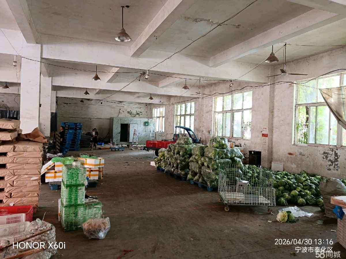 【推荐】宁波个人房源仓库标品仓储奉化方桥厂房仓库土地车位120平厂房出租多层