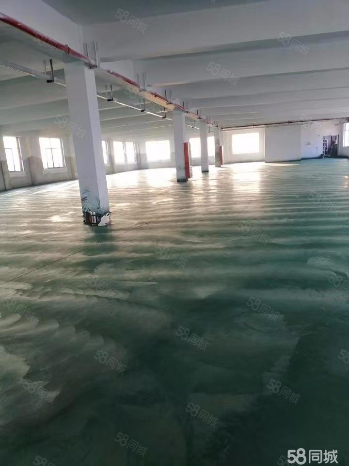 邹区灯具城旁三楼厂房钟楼邹区厂房仓2500平厂房出租多层,常州房东直租