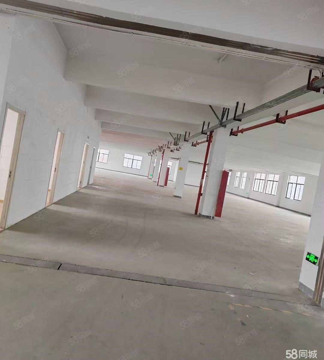 邹区灯具城旁三楼厂房钟楼邹区厂房仓1260平厂房出租多层,常州房东直租