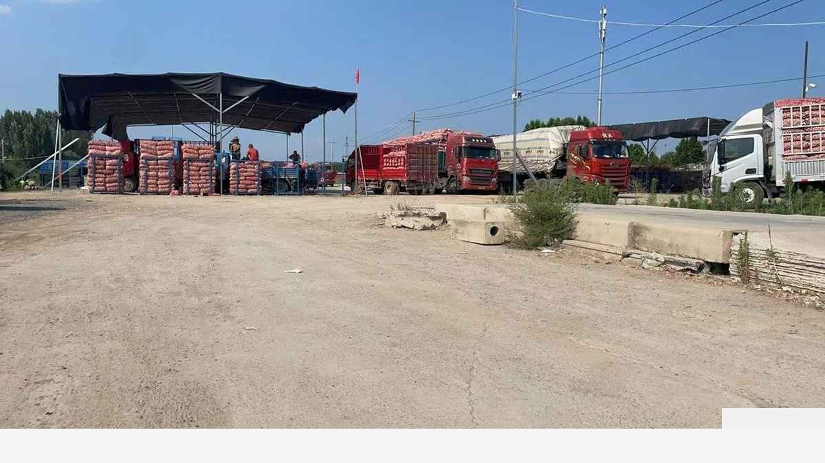 郑州空地 房东直租 独门独院 可进大车 通勤便利60000平厂房出租单层