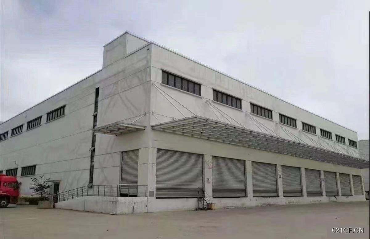 上海南汇芦潮港临港新片区在租面积米米等5000㎡标准厂房单层大车进出仓库出租