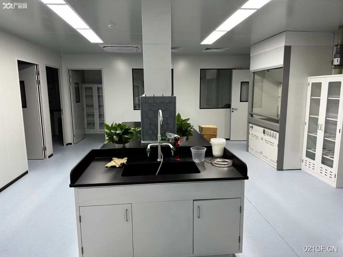上海浦东其他测蛋白质研发中心C级细胞实验室细胞检330㎡独门独院独栋单层厂房出租