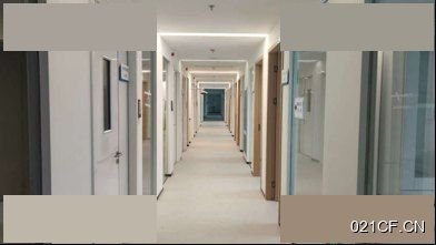 上海浦东其他万级洁净室仿制药研发张江核心370㎡独门独院独栋单层厂房出租