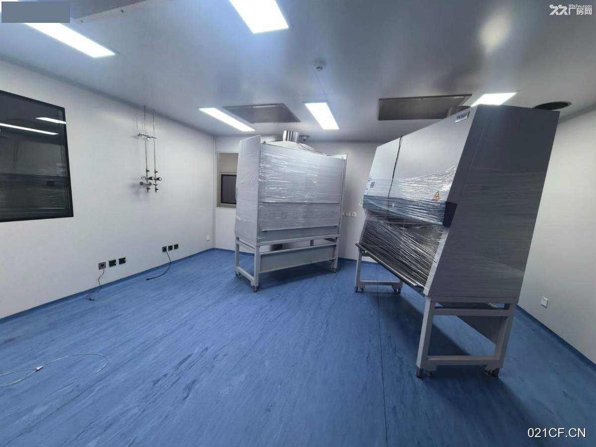 上海浦东其他精装化学实验室细胞存储张江基4200㎡独门独院独栋单层厂房出租