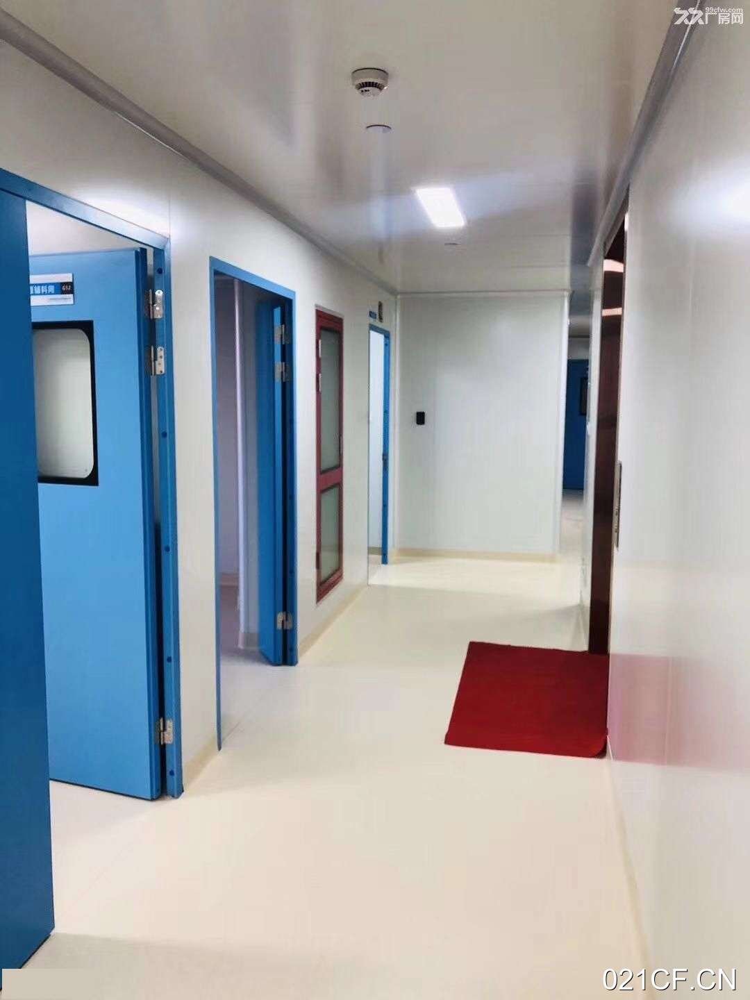 上海浦东张江招商中心周浦医学园区中心独栋精装修细2700㎡地铁可分租厂房出租
