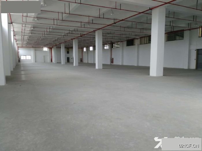上海浦东合庆工业园工业园区独栋医疗器械生物诊断4500㎡地铁可分租厂房出租