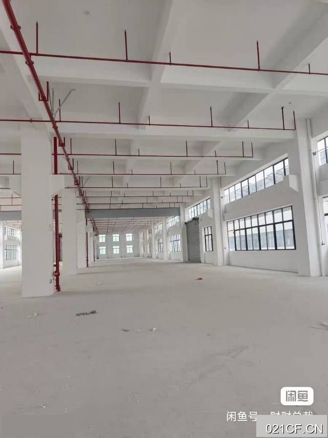 珠海金湾三灶市区全新标准花园式2500㎡标准厂房出租