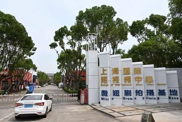 上海上海嘉定宜公路马陆镇 上海国际短视频中心办公楼出租厂房出租，研发总部一体