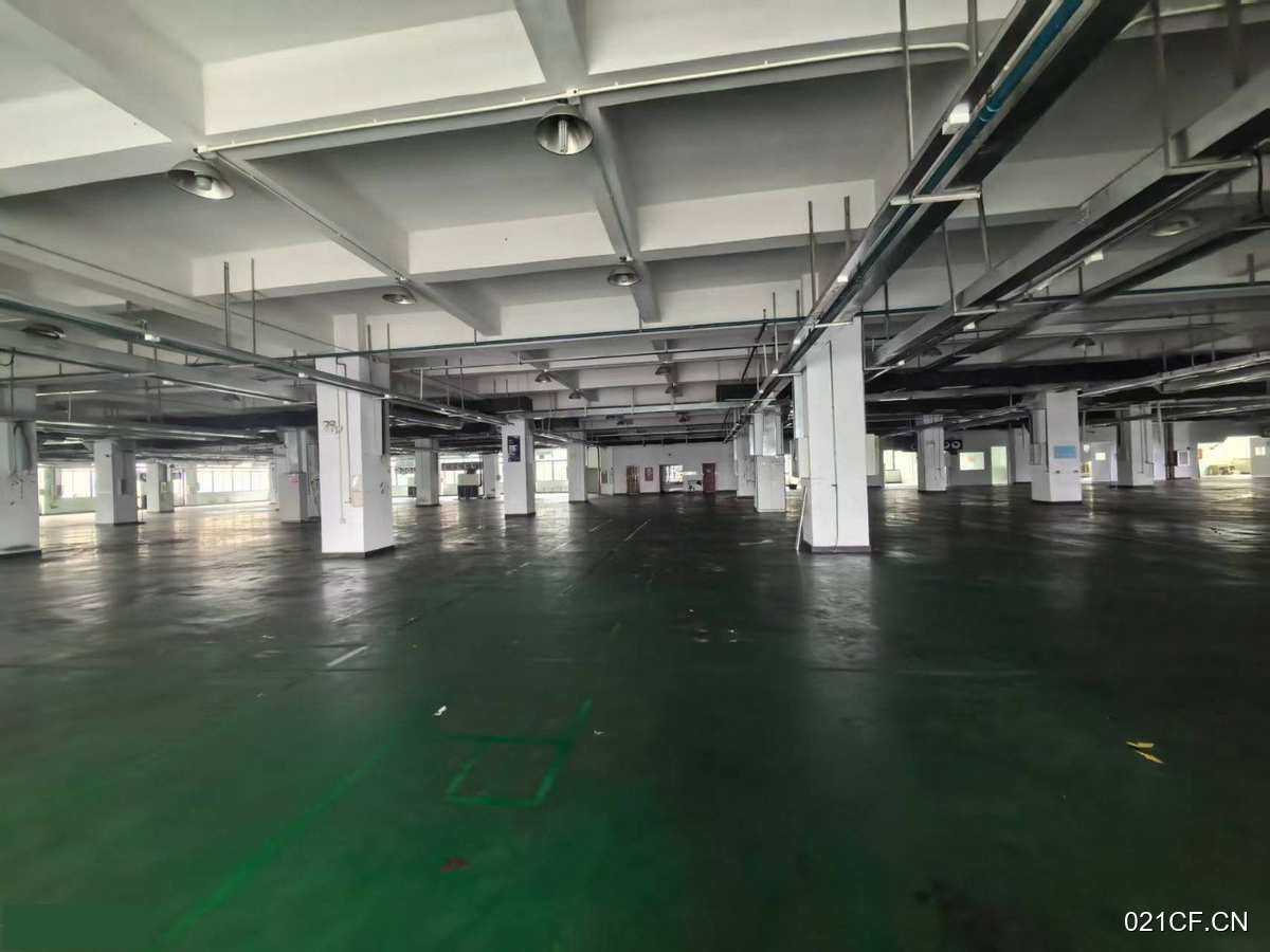 广州黄埔黄埔区府工业楼上每平方承重2吨单层面33000㎡可分租厂房出租