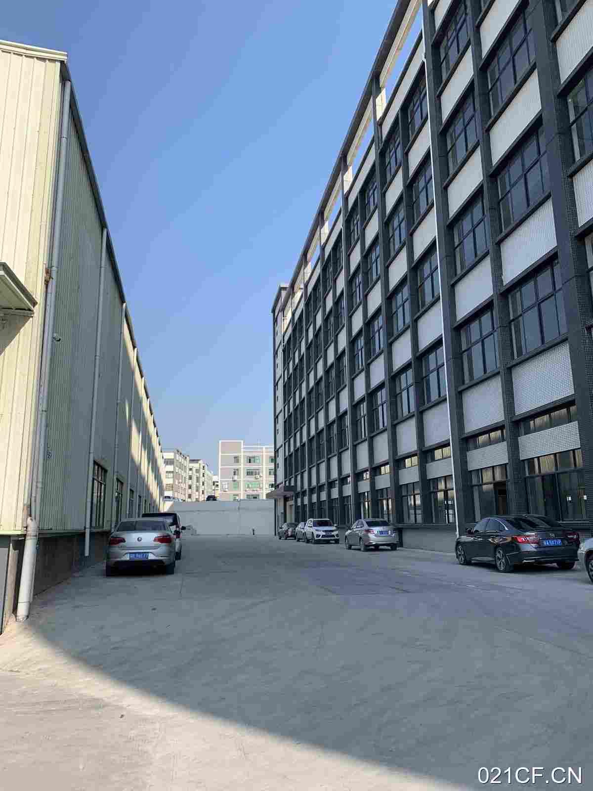 广州增城新塘10元平方工业标准厂房多层全新厂房出租