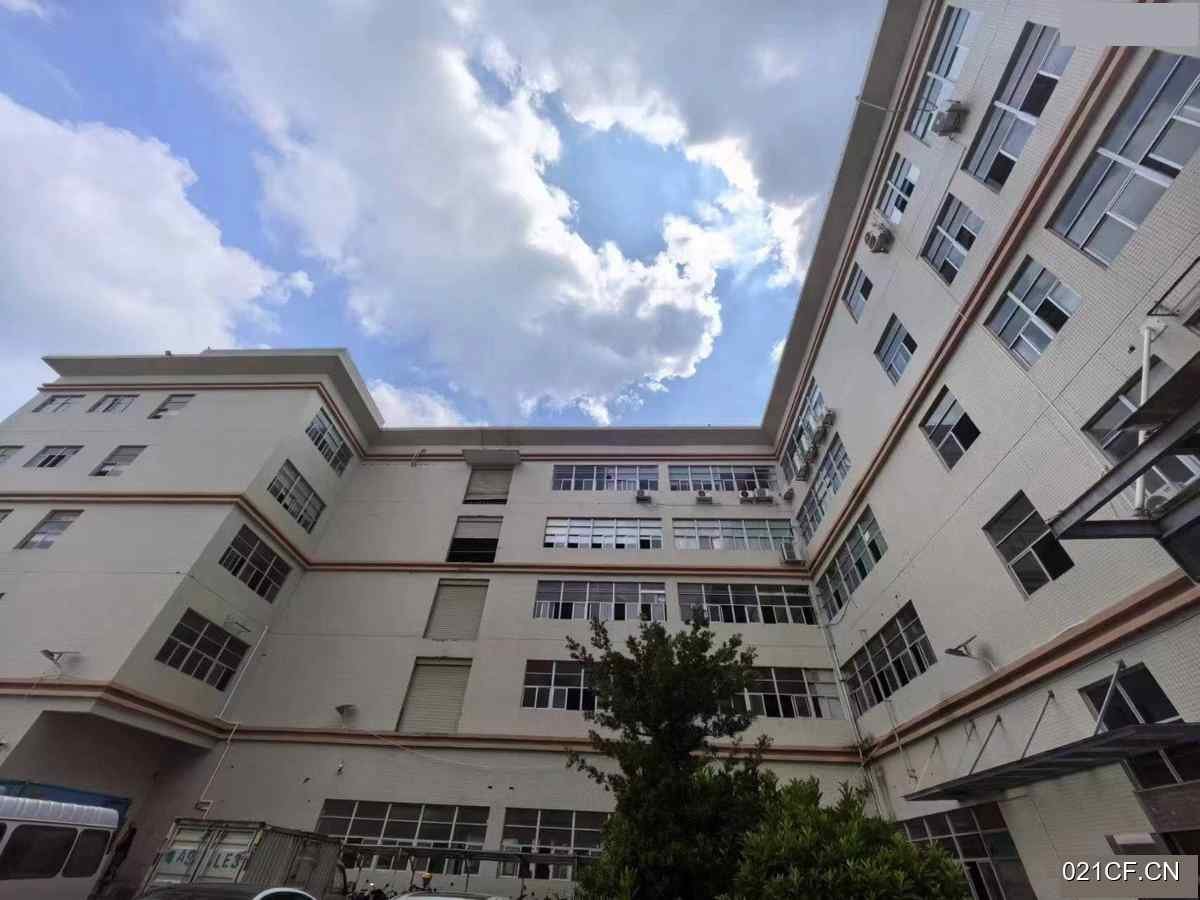 广州黄埔M2工业实量面积18元一平方多层大车进出交通便利厂房出租