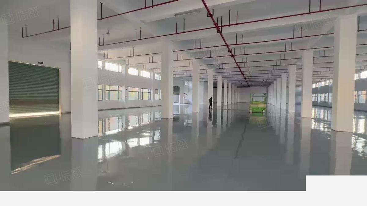 上海上海闵行双柏路独栋厂房场地大丙类消防可生产食品加工研发物流厂房出租,配套完善