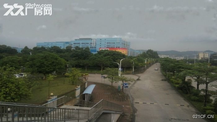 东莞凤岗其他市镇钢架 (可分租)12000㎡单层厂房出租