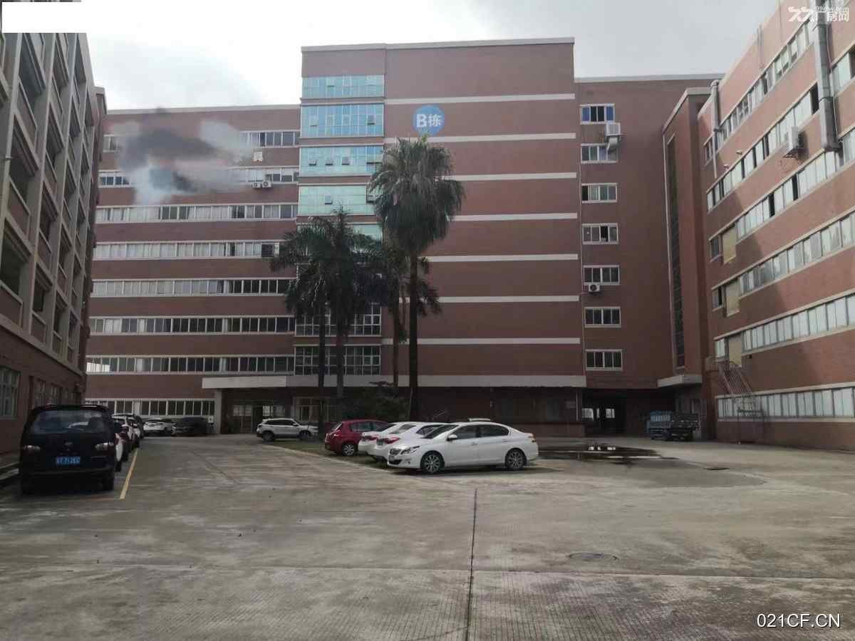 中山小榄中山市小榄镇宝丰华成路8块800㎡独门独院标准厂房多层厂房出租