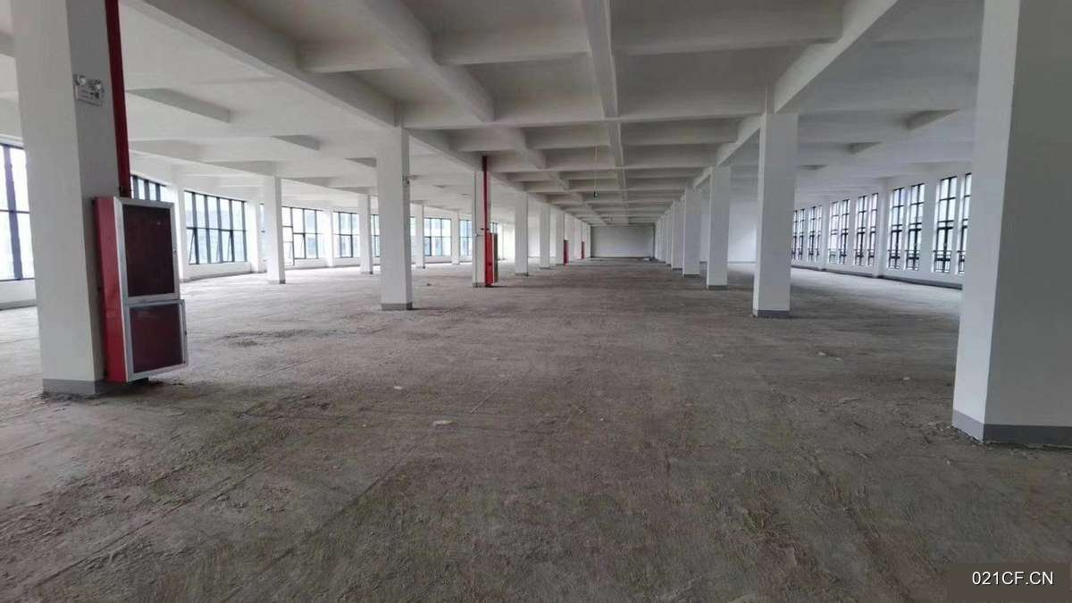 杭州滨江浦沿集成电路行业：生物医药医疗器械汽车零4000㎡独门独院多层全新厂房出租