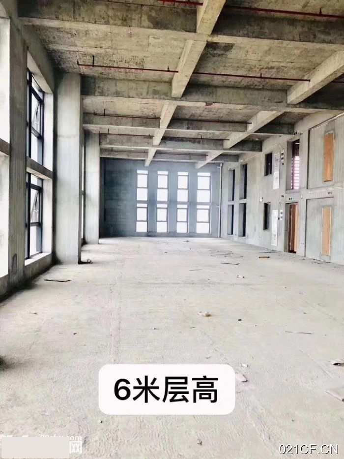 杭州滨江长河高科技层高6米整层2900方500㎡独门独院单层全新厂房出租
