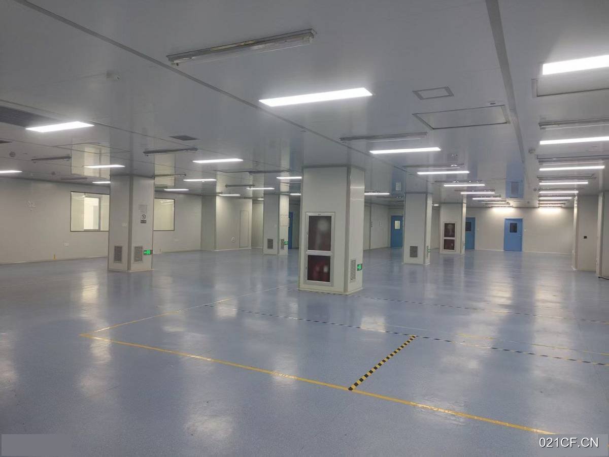 杭州临安青山湖科技城10万级洁净车间100000㎡标准厂房多层大车进出厂房出租