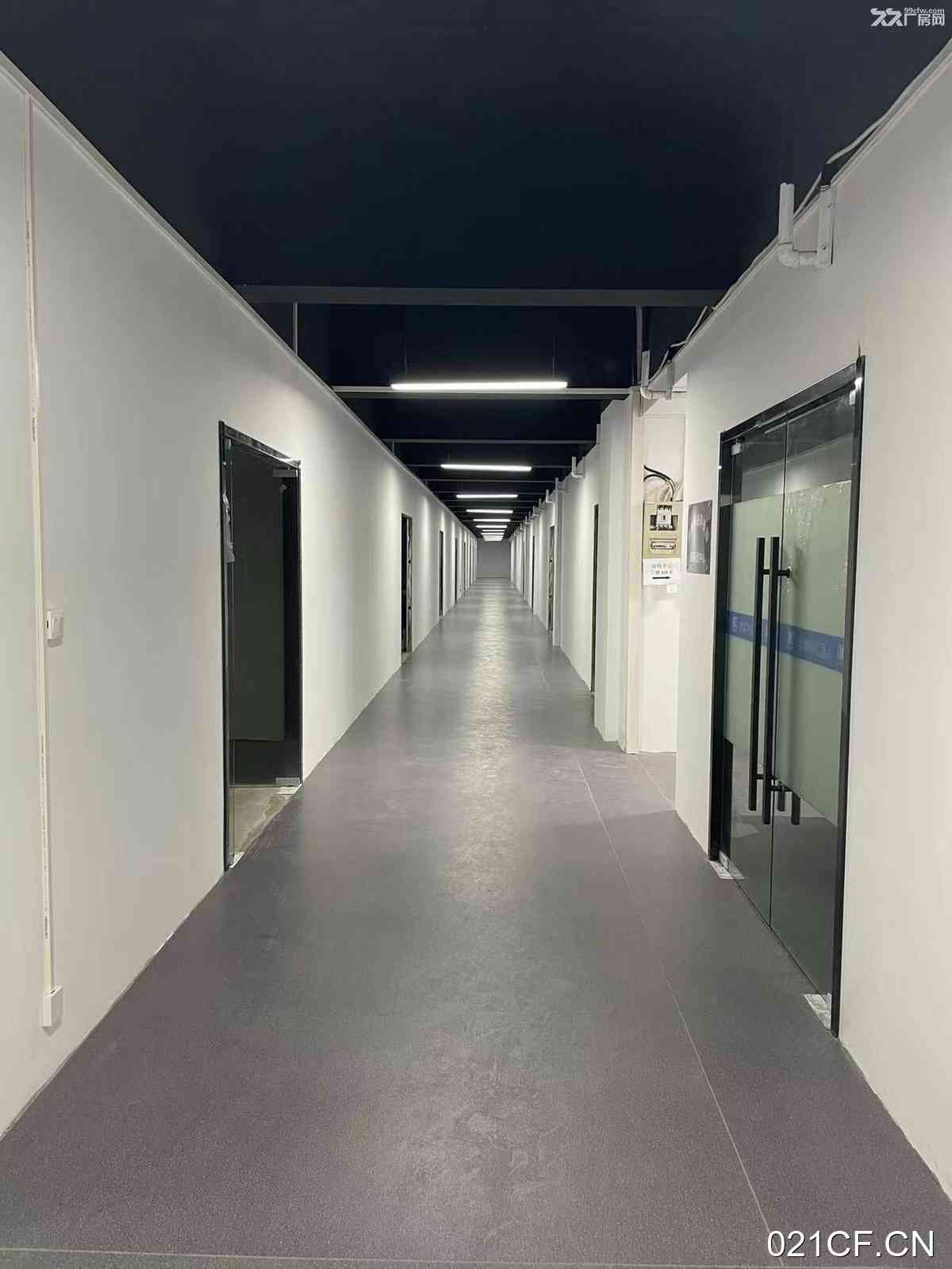 武汉江夏东湖高新三环边全新独院40—自由分割1451㎡独门独院带喷淋单层厂房出租