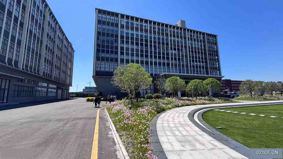 嘉兴嘉善姚庄镇清丰路85号原房东直租姚庄独栋标准 有14500㎡标准厂房多层厂房出租