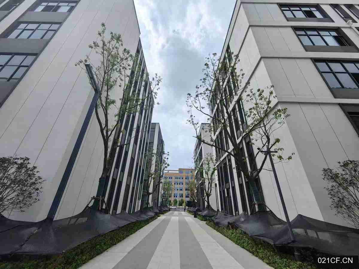合肥肥西其他蕞新高标准独栋74㎡全新可分租厂房出售