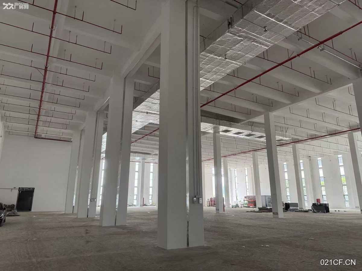 合肥高新其他(房东直租无中介费)区丙二类6000㎡消防丙二类多层仓库出租