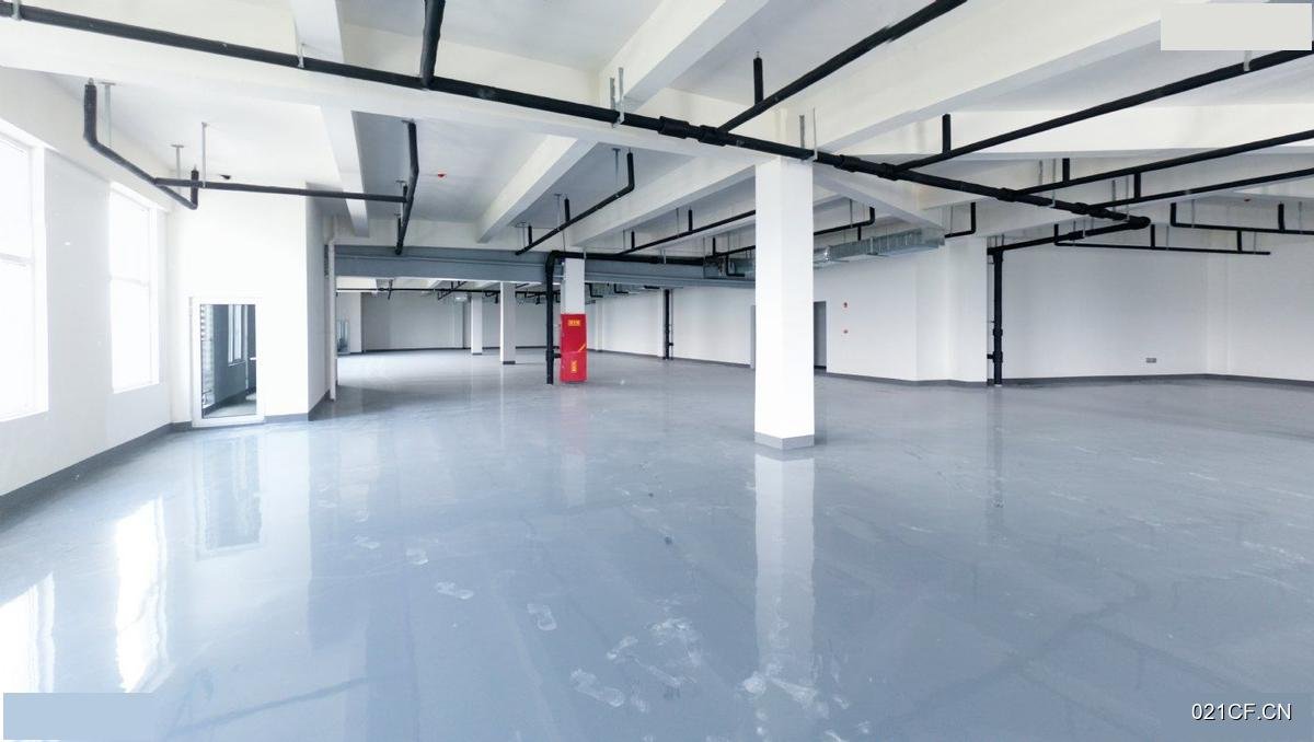 青岛黄岛红石崖自贸区地铁口生产一体78000㎡全新可分租厂房出租