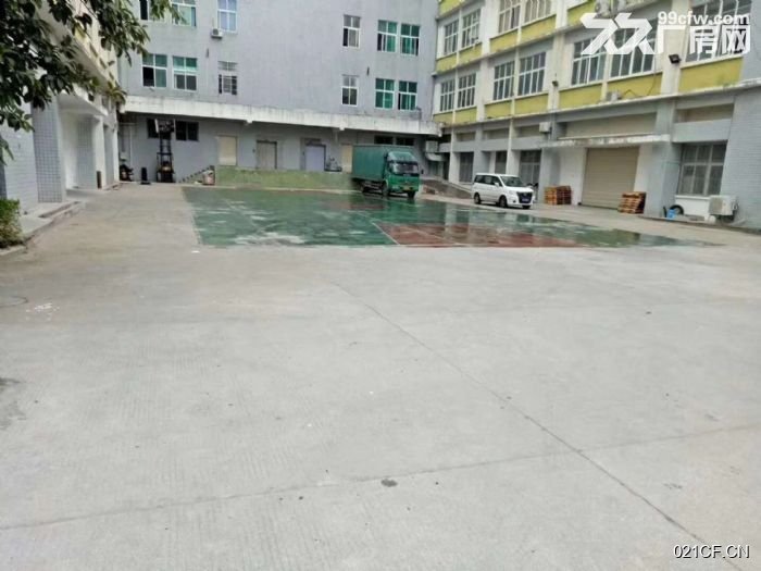 厦门翔安厂房出租实景图2
