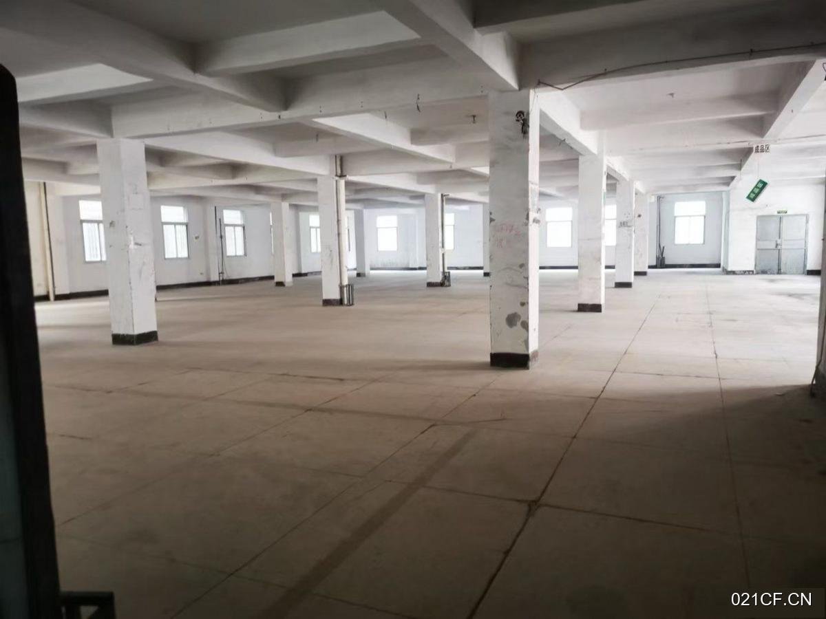 厦门海沧新阳工业区一楼(单层)一楼高6米有货梯900㎡独门独院多层厂房出租