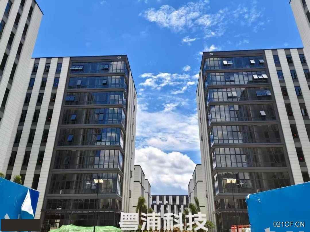 福州马尾厂房出租实景图2