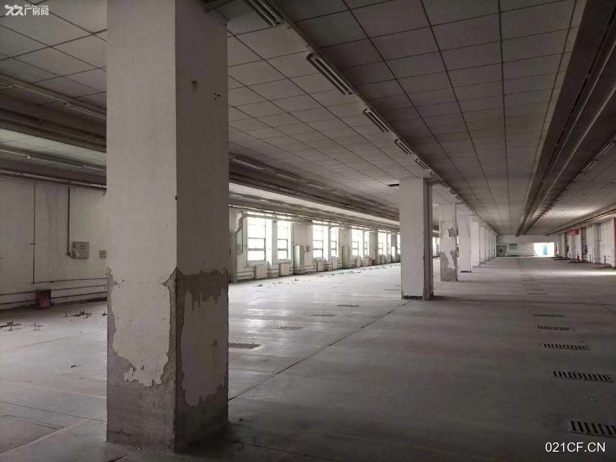 石家庄开发区厂房出租实景图2