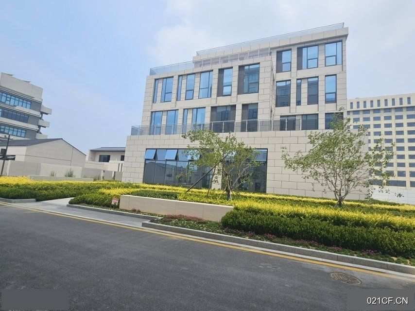 石家庄栾城厂房出售实景图2