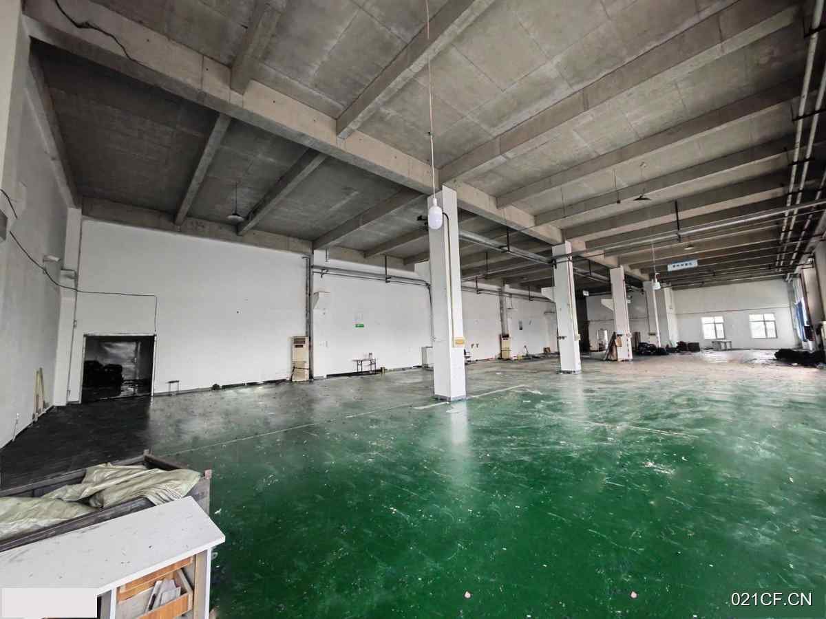 保定定州厂房出租实景图2