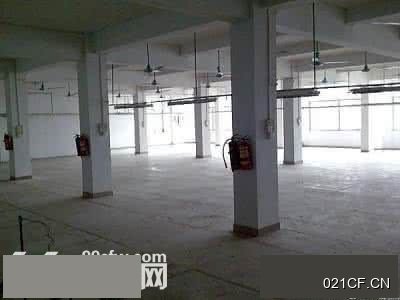 南京江宁厂房出租实景图2