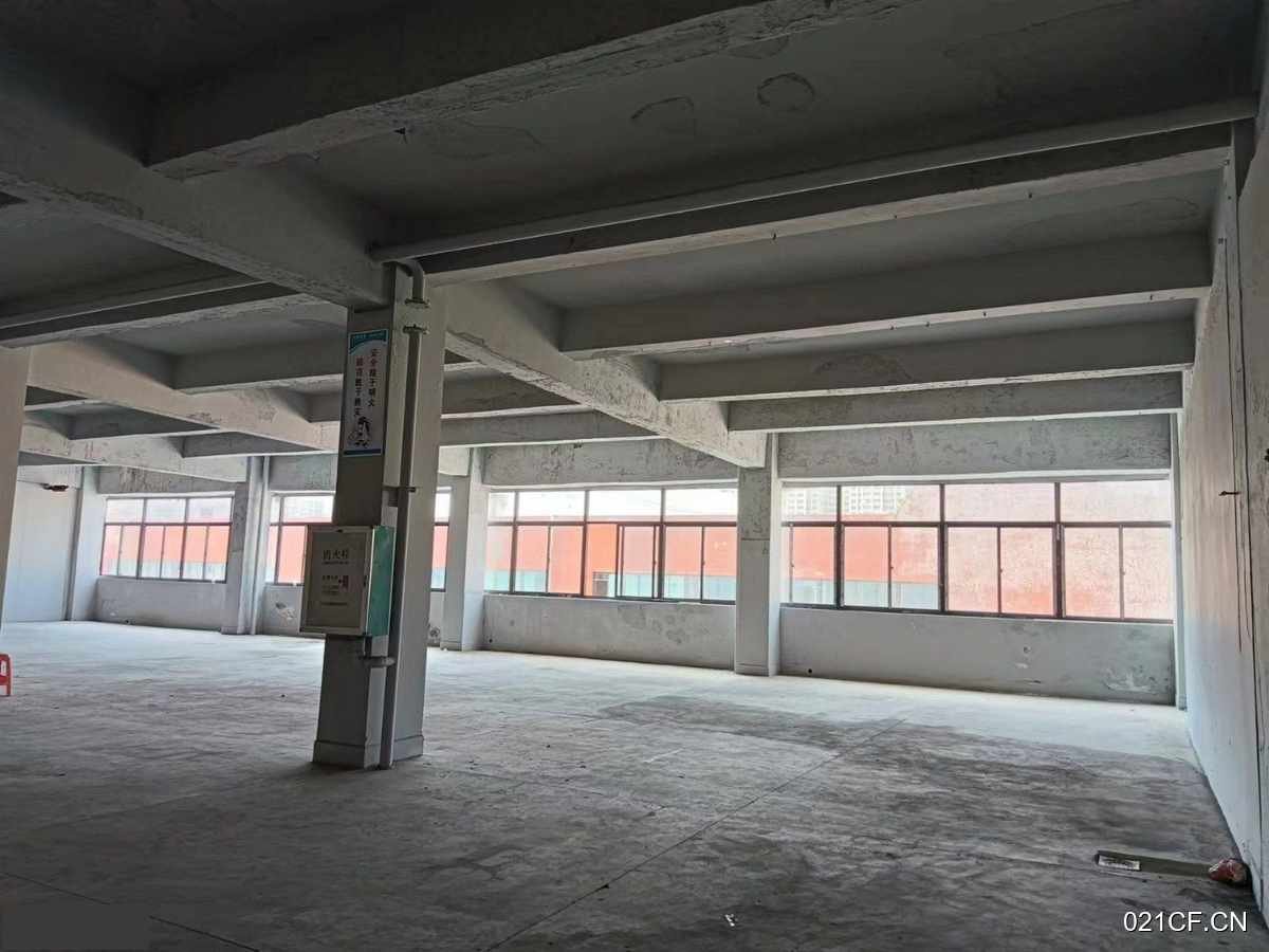 海口龙华金宇龙海区十号大仓园区50000㎡独栋可分租厂房出租