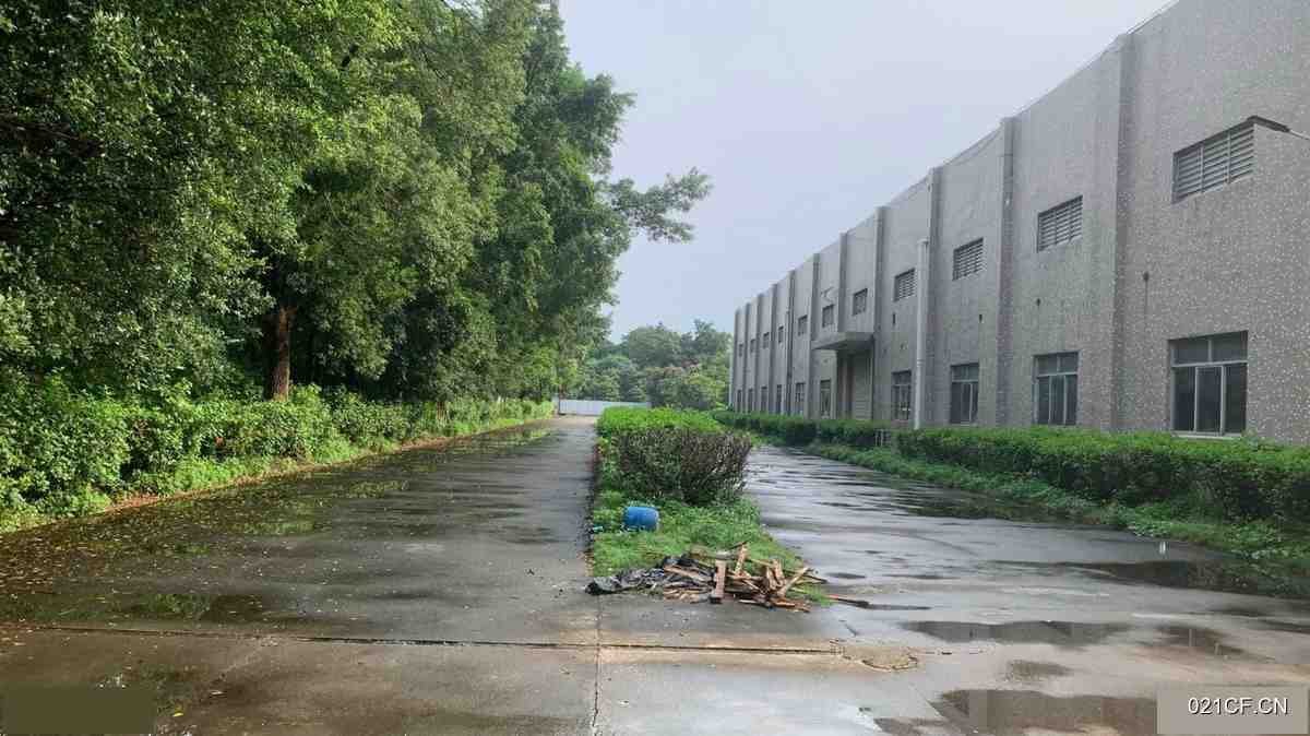 惠州博罗厂房出租实景外观