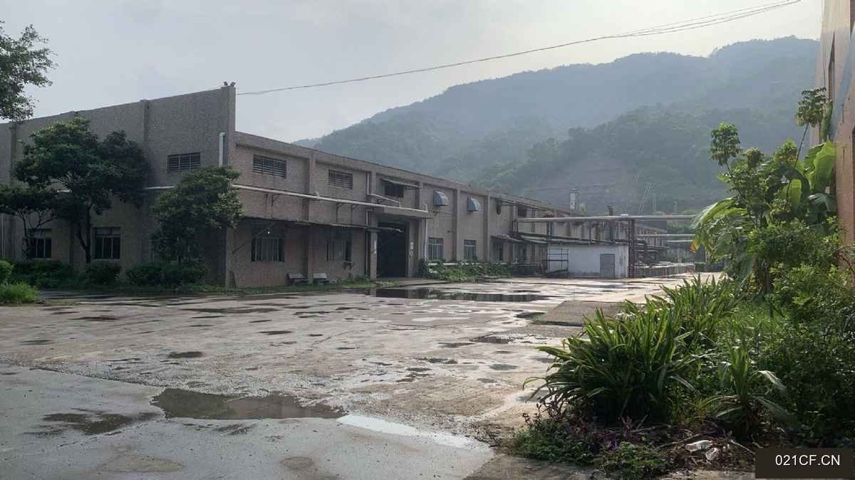 惠州博罗厂房出租实景图2