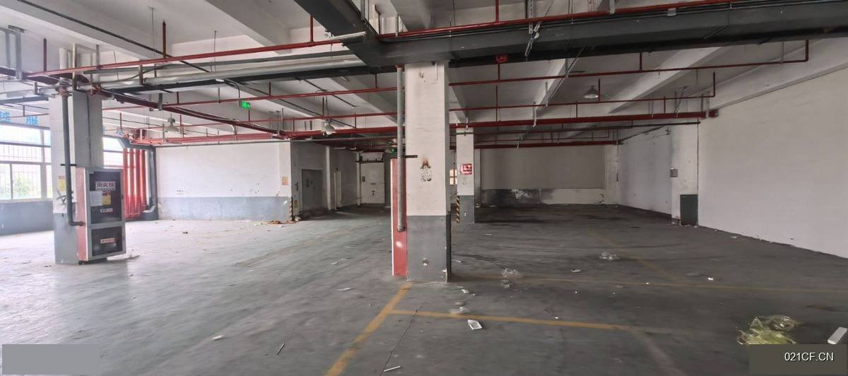 芜湖弋江长江南路区框架一楼850㎡标准厂房单层大车进出厂房出租