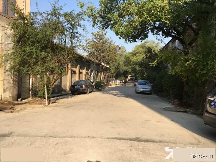 株洲荷塘厂房出售实景图2