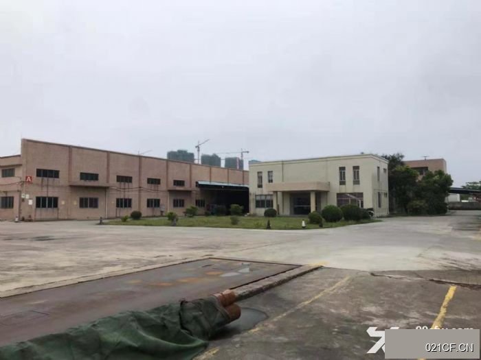 江门新会江门新会大泽工业区大泽独院单一层2800㎡独门独院标准厂房可分租厂房出租